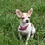 Image-square_50
