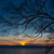 Image-square_50