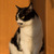 Image-square_50