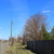 Image-square_50