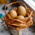 Image-square_50