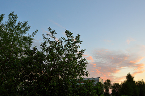 Image-preview_300x200