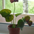 Image-square_50