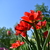 Image-square_50