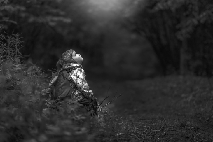 Image-normal