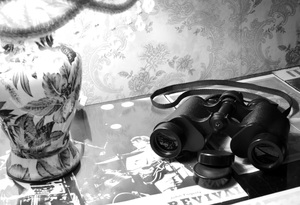 Image-preview_300x200