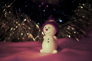Image-preview_300x200