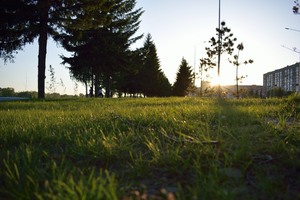 Image-preview_300x200