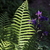 Image-square_50