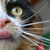 Image-square_50