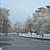 Image-square_50