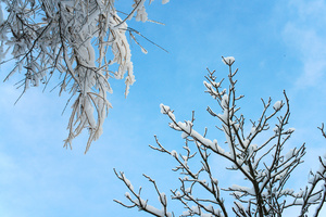 Image-preview_300x200