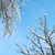 Image-square_50