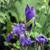 Image-square_50