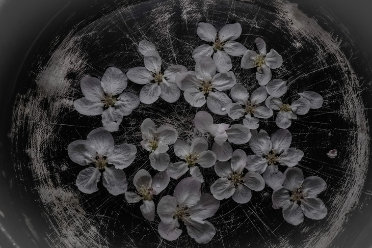 Image-normal