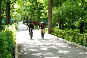 Image-preview_300x200