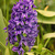 Image-square_50