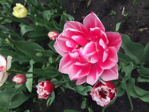 Image-preview_300x200