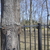 Image-square_50