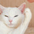 Image-square_50