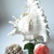 Image-square_50