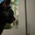 Image-square_50