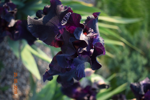 Image-preview_300x200