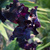 Image-square_50