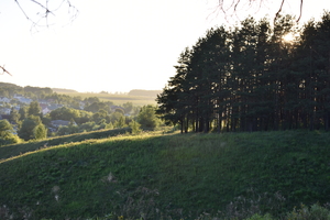 Image-preview_300x200