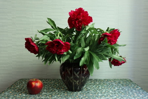 Image-preview_300x200