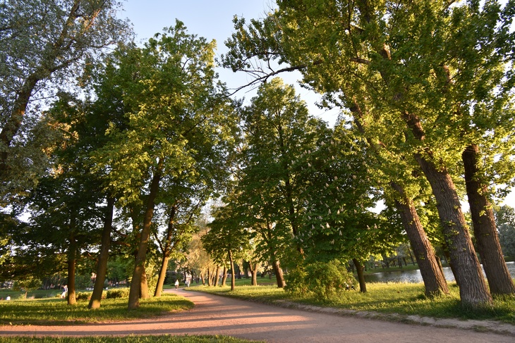 Image-normal