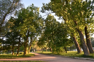 Image-preview_300x200
