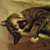 Image-square_50