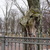 Image-square_50