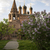 Image-square_50