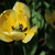 Image-square_50