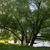 Image-square_50