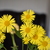 Image-square_50