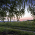 Image-square_50