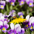Image-square_50