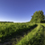 Image-square_50