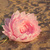 Image-square_50