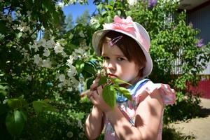 Image-preview_300x200