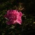 Image-square_50
