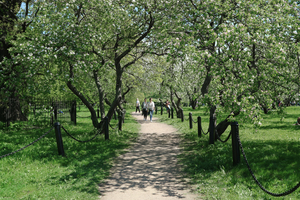 Image-preview_300x200