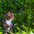 Image-square_50