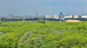 Image-preview_300x200
