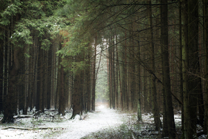 Image-preview_300x200