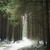 Image-square_50