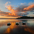 Image-square_50